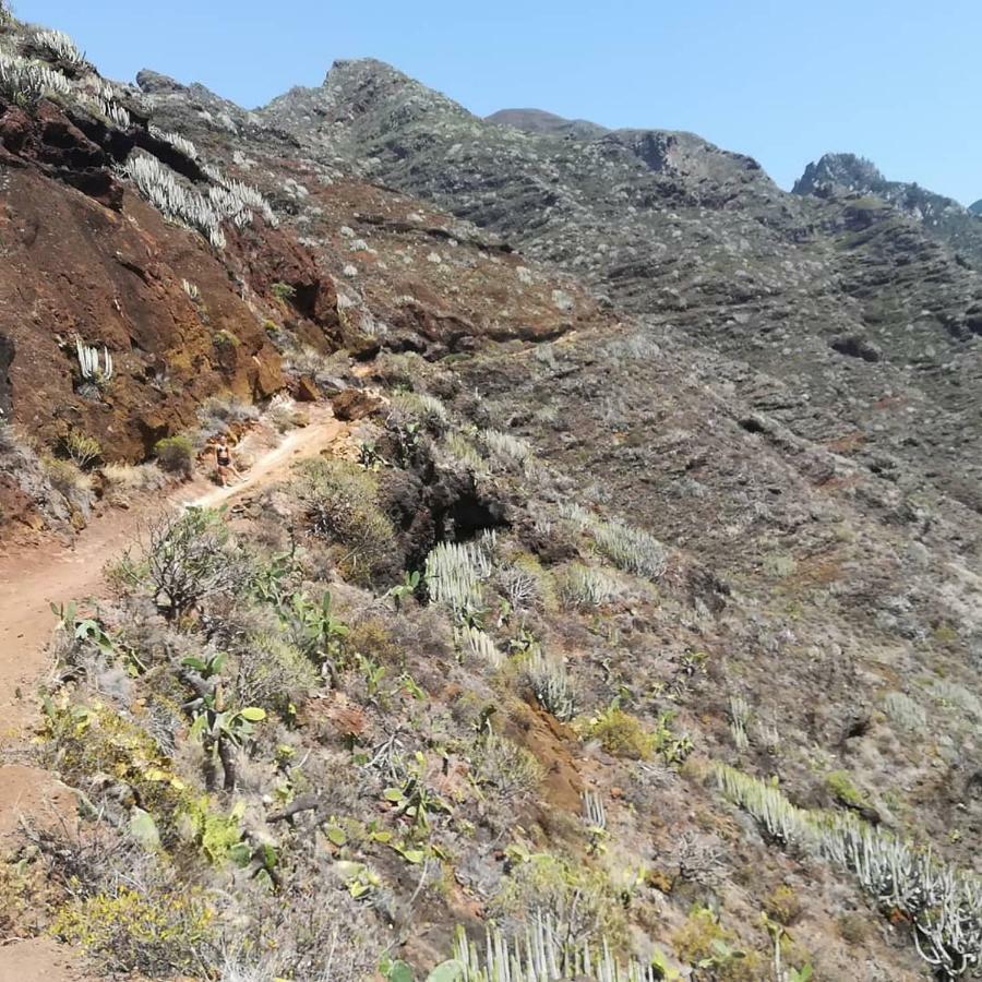 Tenerife Santa Cruz de Tenerife Kültér fotó
