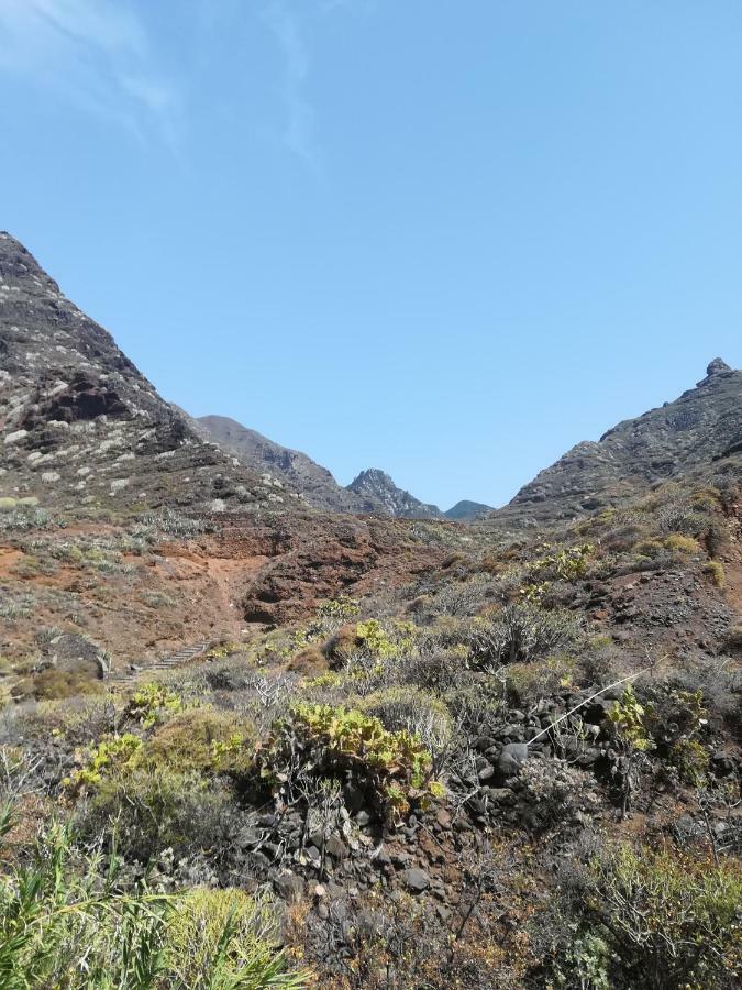 Tenerife Santa Cruz de Tenerife Kültér fotó